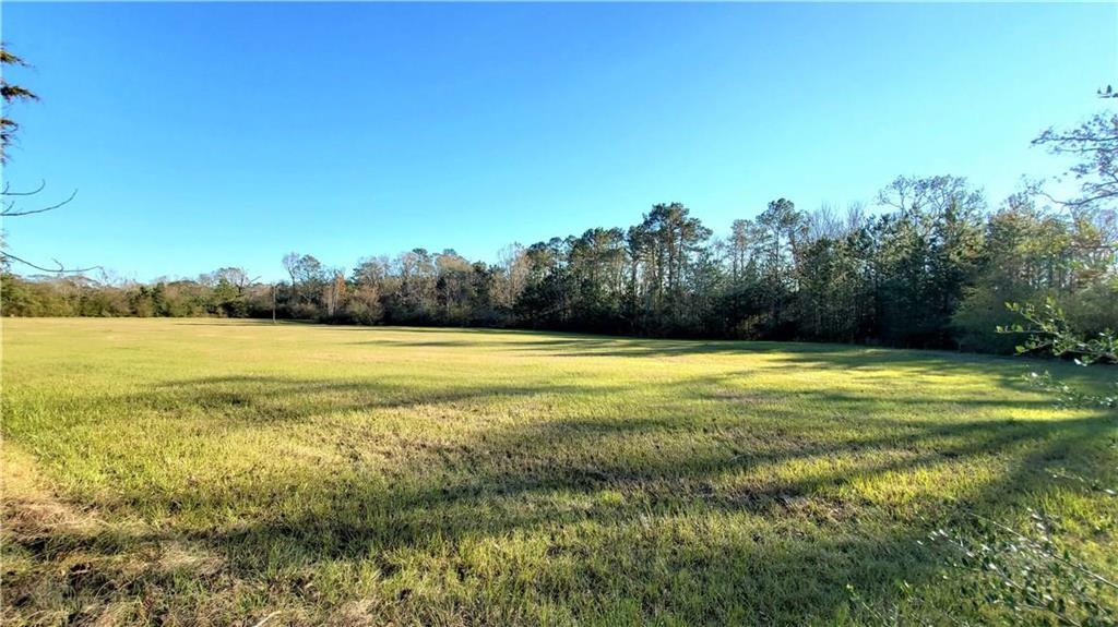 2195 Providence Road Leesville, LA 71446 - Photo 3 of 11 Gallery Image 3