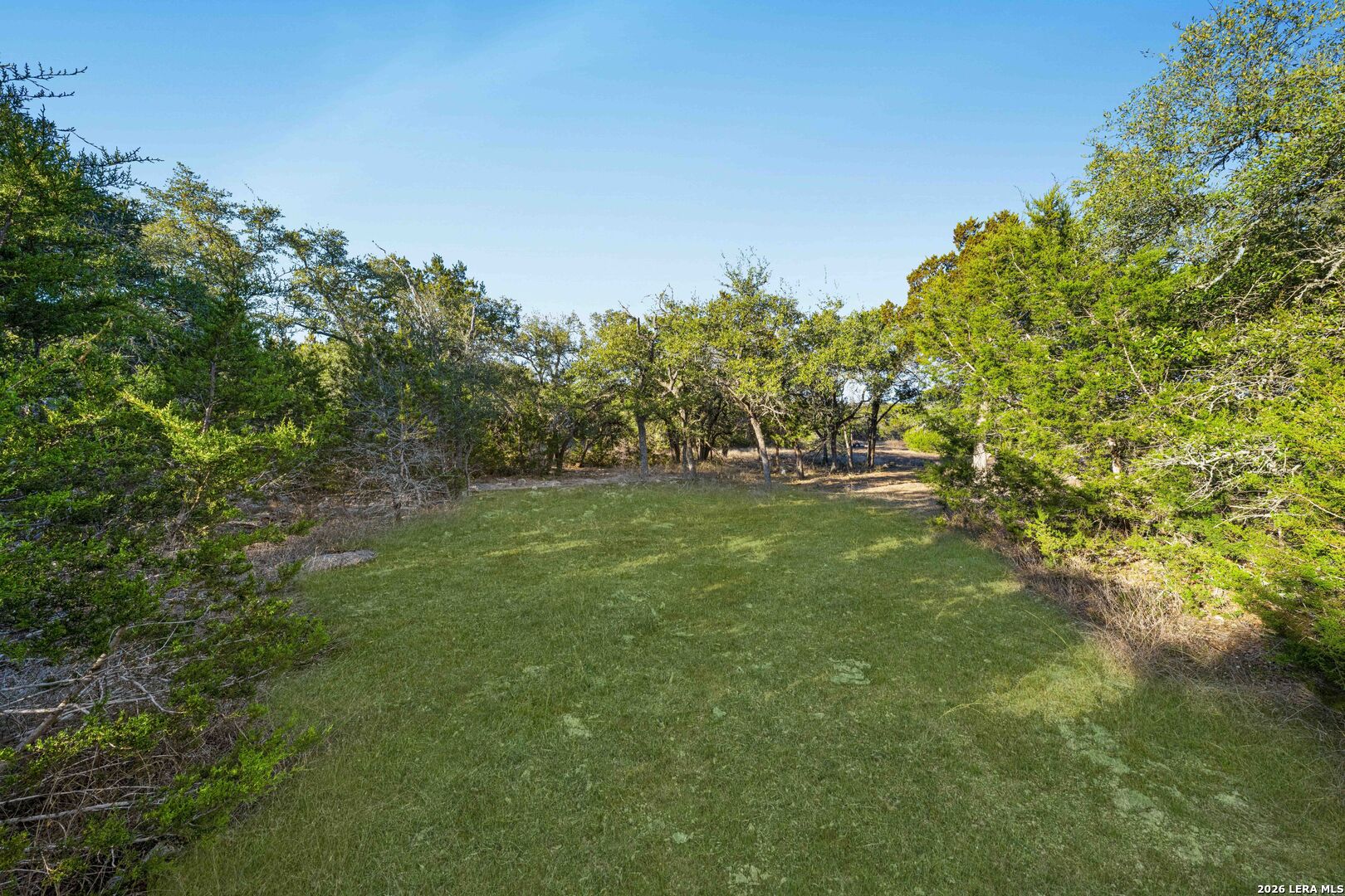 5387 Ranch Road 32 Blanco, TX 78606 - Photo 2 of 11 a view of outdoor space with trees all around