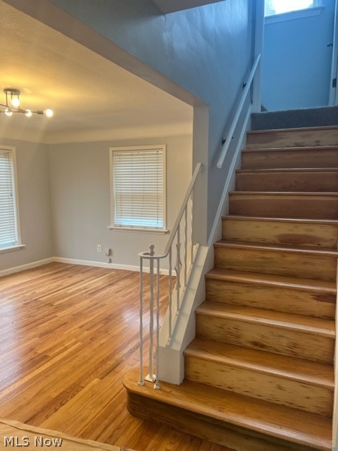 364 Babbitt Road Euclid, OH 44123 - Photo 14 of 26 Gallery Image 14
