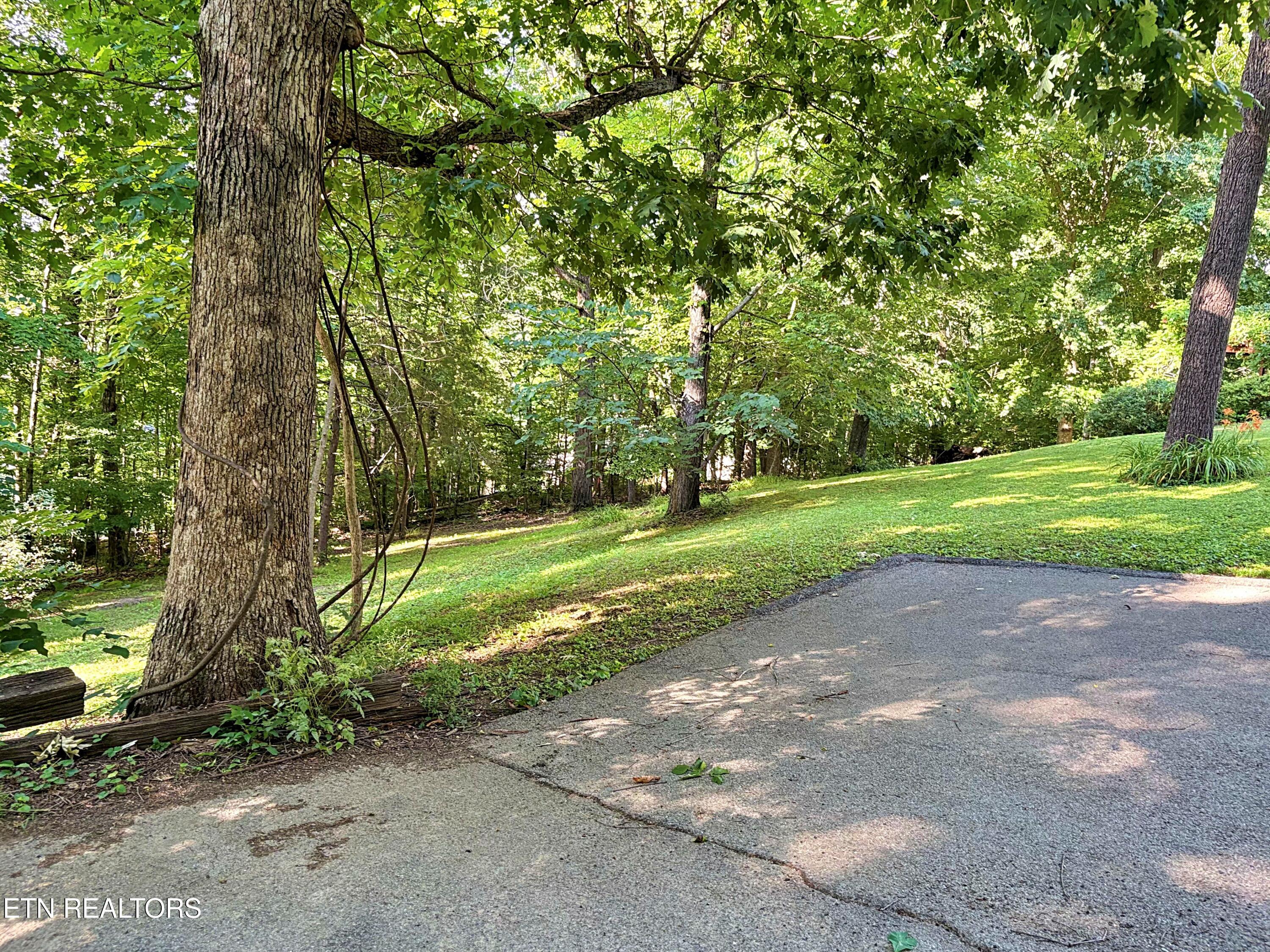 129 Jefferson Street Harrogate, TN 37752 - Photo 25 of 51 IMG_4008
