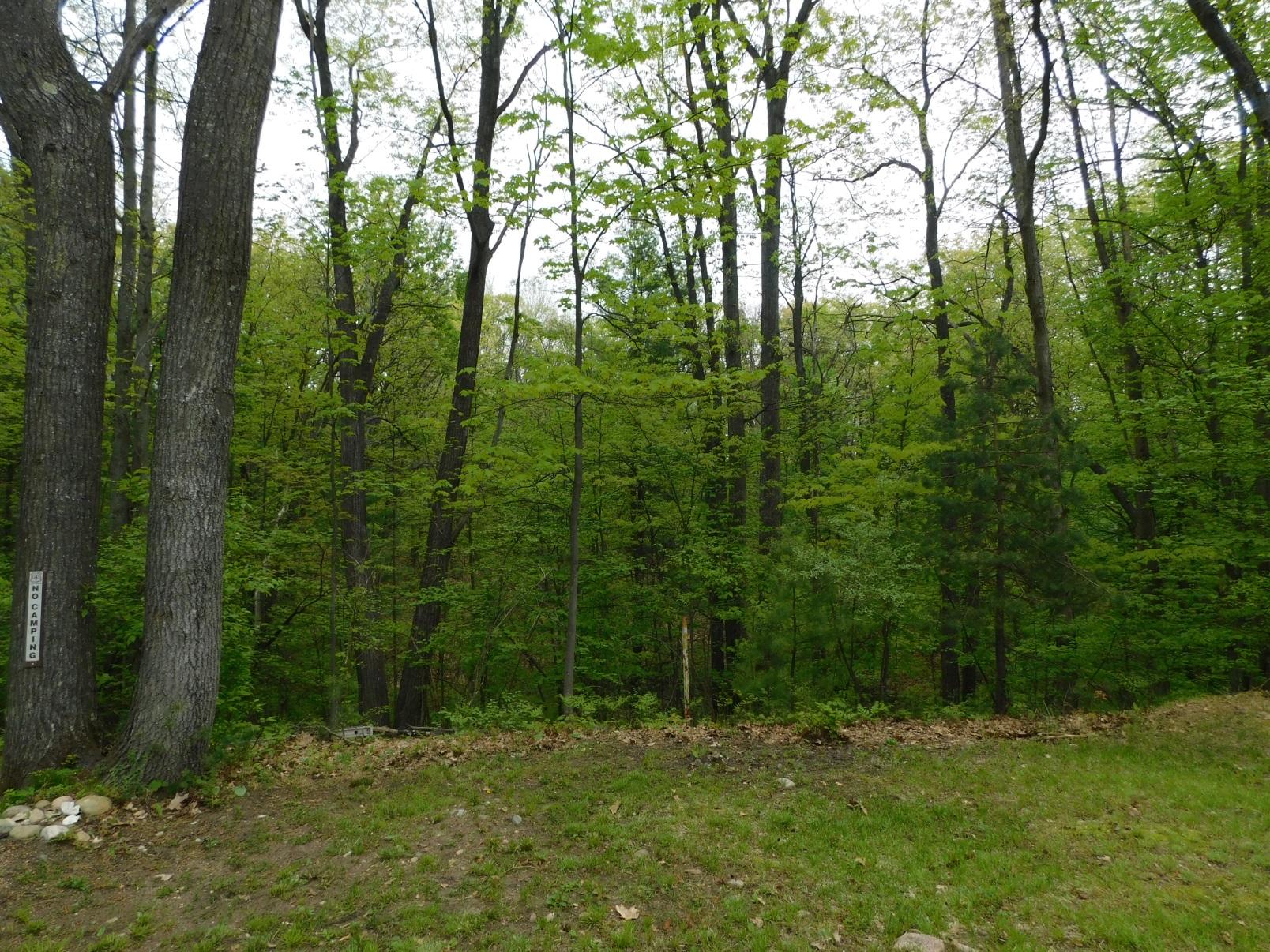 486 Abbott Road Rose City, MI 48654 - Photo 15 of 15 Gallery Image 15