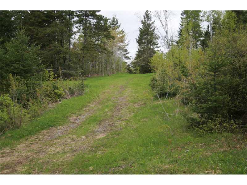 Land/Lot.