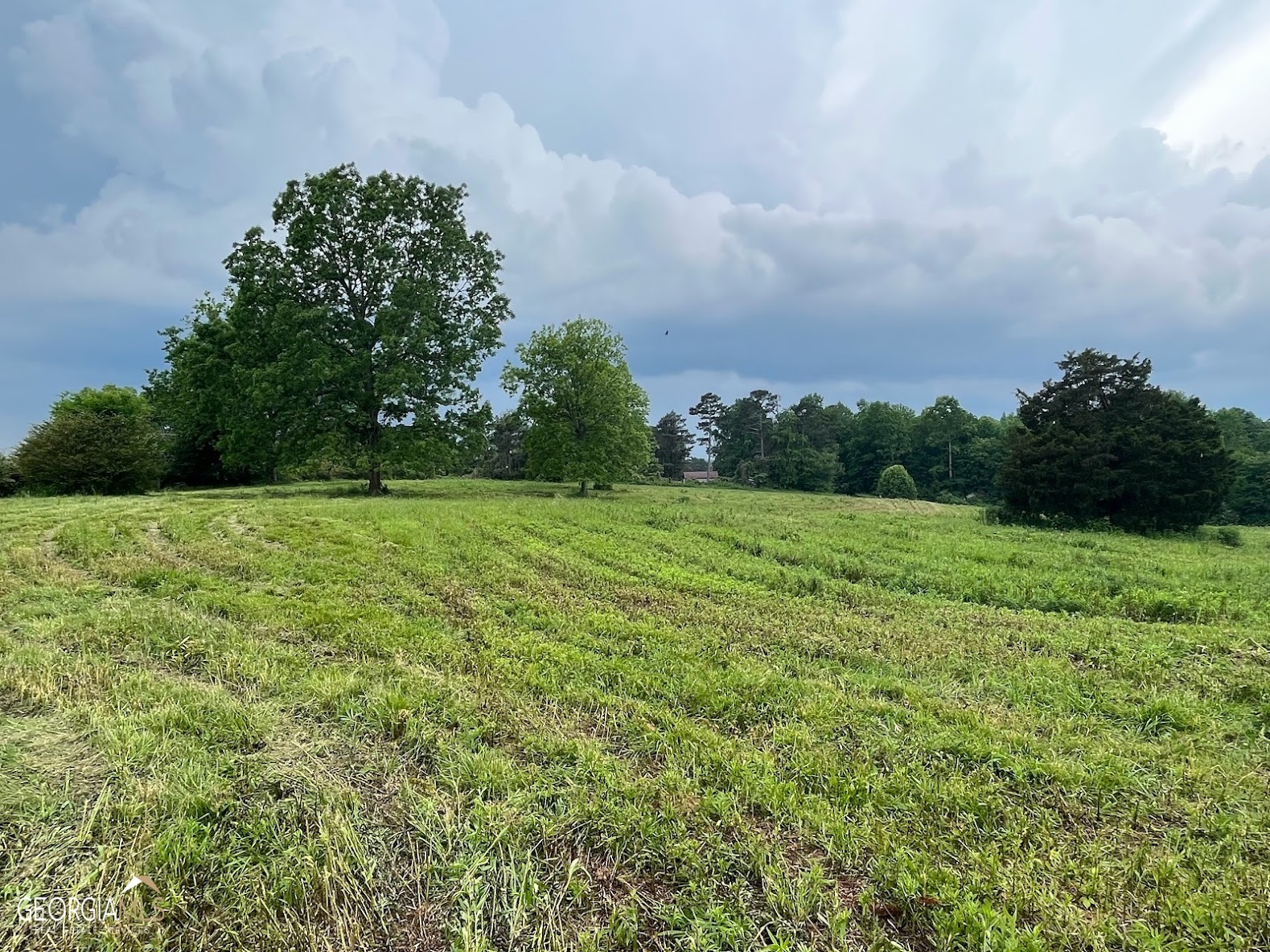 a view of a green field with wooden fence