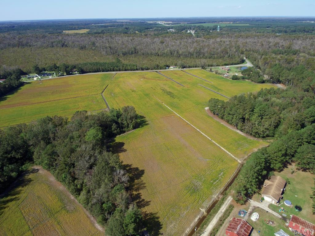 Tbd Spruill Bridge Road Creswell, NC 27928 - Photo 5 of 17 Gallery Image 5