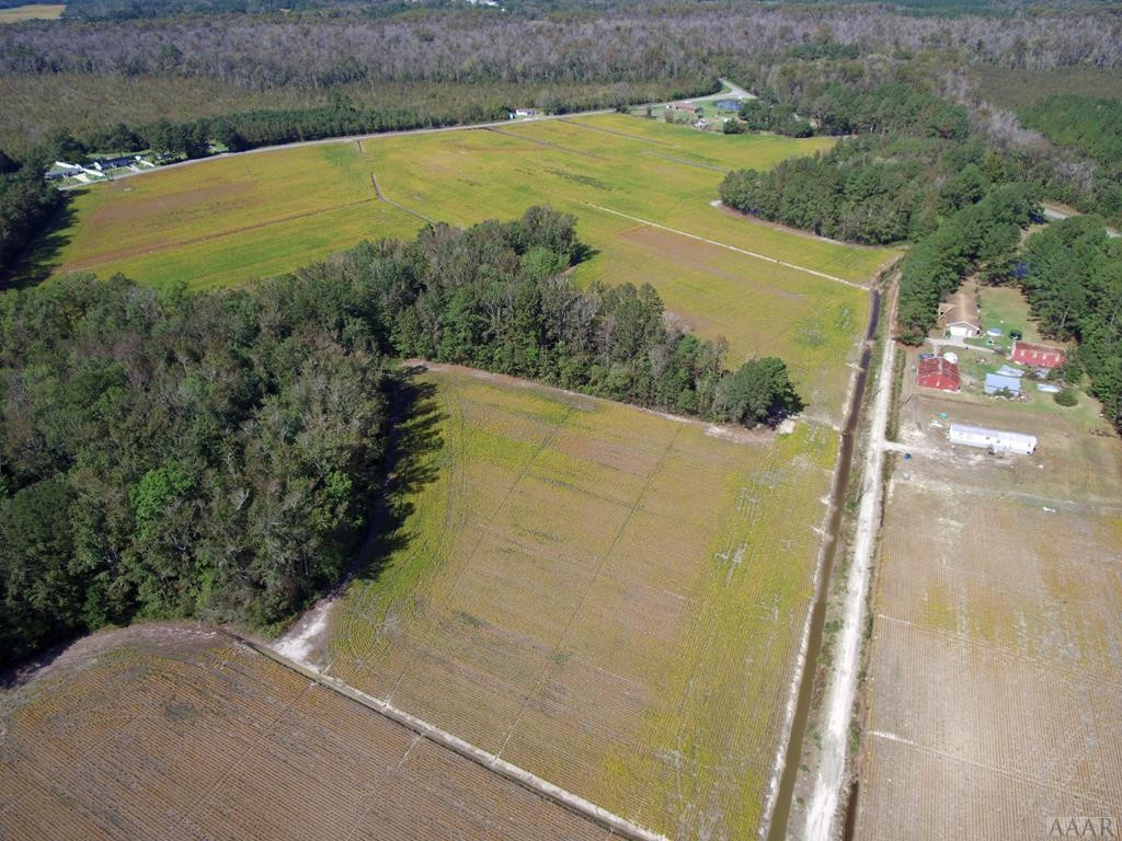 Tbd Spruill Bridge Road Creswell, NC 27928 - Photo 6 of 17 Gallery Image 6