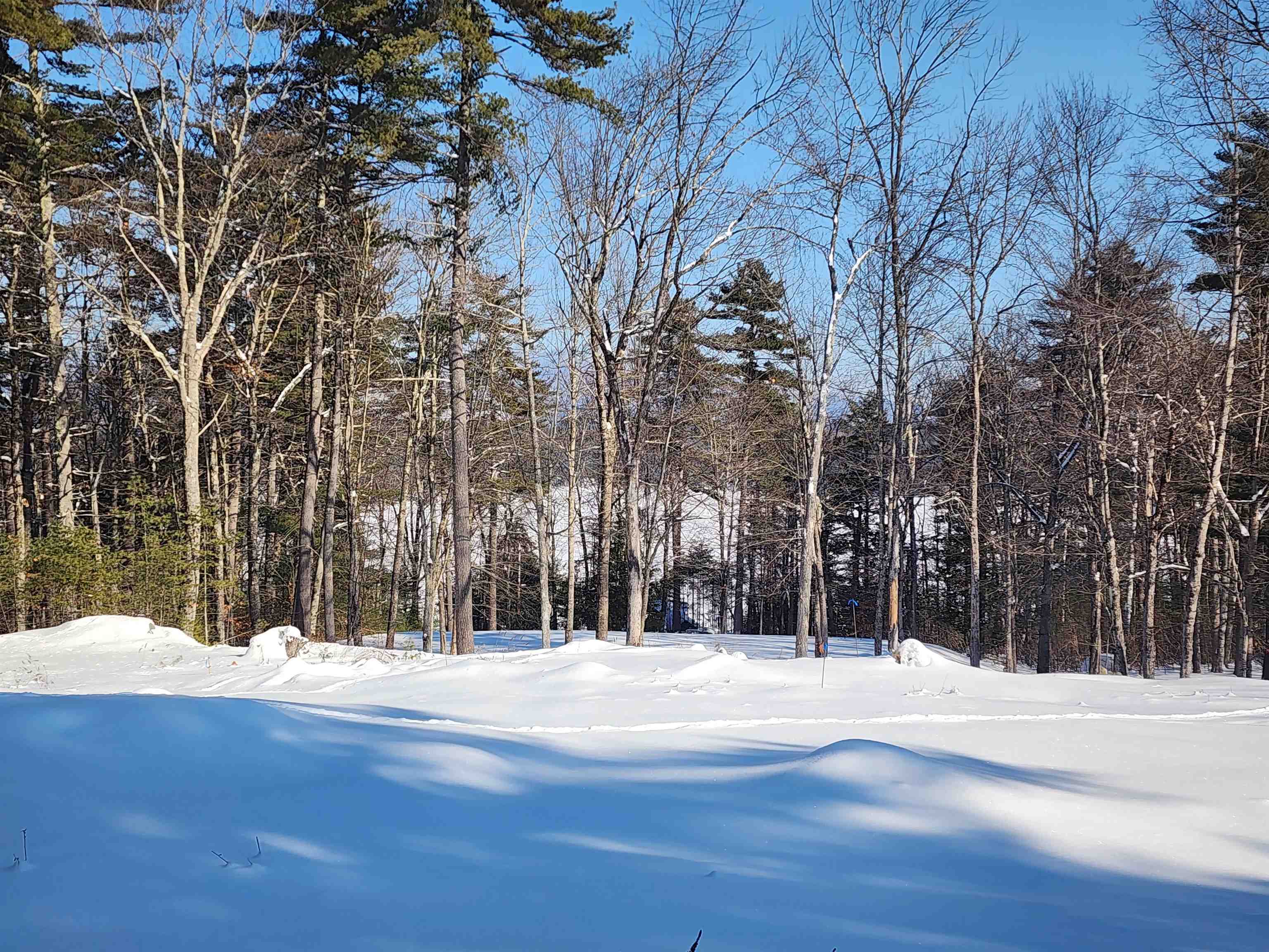 70 High Ridge Road Moultonborough, NH 03254 - Photo 10 of 37