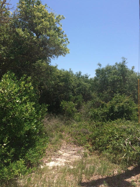Lot 14 North Dothan Santa Rosa Beach Santa Rosa Beach, FL 32459 - Photo 1 of 13 Lot 14 N. Dothan