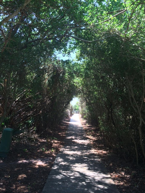 Lot 14 North Dothan Santa Rosa Beach Santa Rosa Beach, FL 32459 - Photo 12 of 13 The way to the beach at S. Dothan