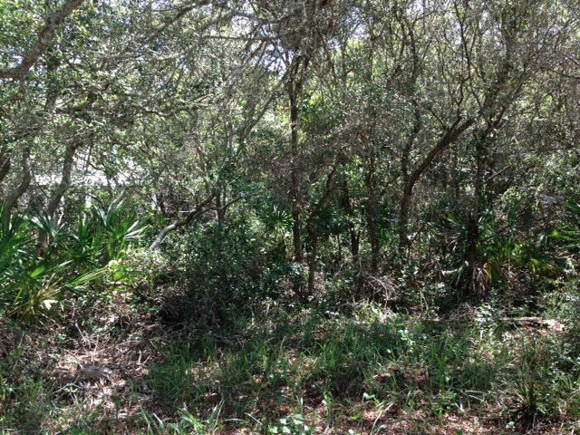 Lot 14 North Dothan Santa Rosa Beach Santa Rosa Beach, FL 32459 - Photo 3 of 13 Vacant - lot 14 N. Dothan