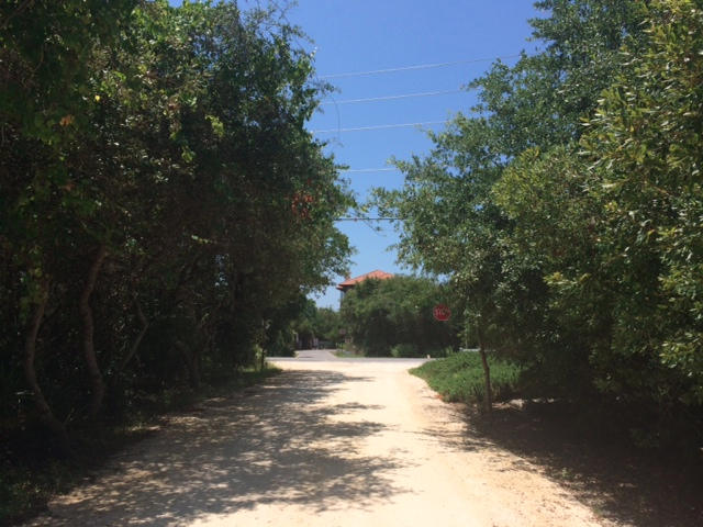 Lot 14 North Dothan Santa Rosa Beach Santa Rosa Beach, FL 32459 - Photo 4 of 13 View down N. Dothan to 30A & S. Dothan