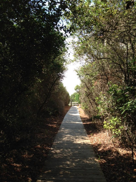 Lot 14 North Dothan Santa Rosa Beach Santa Rosa Beach, FL 32459 - Photo 5 of 13 South Dothan beach access