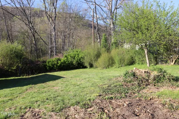 $239,000 | 1203 1st Avenue East, Big Stone Gap, VA 24219