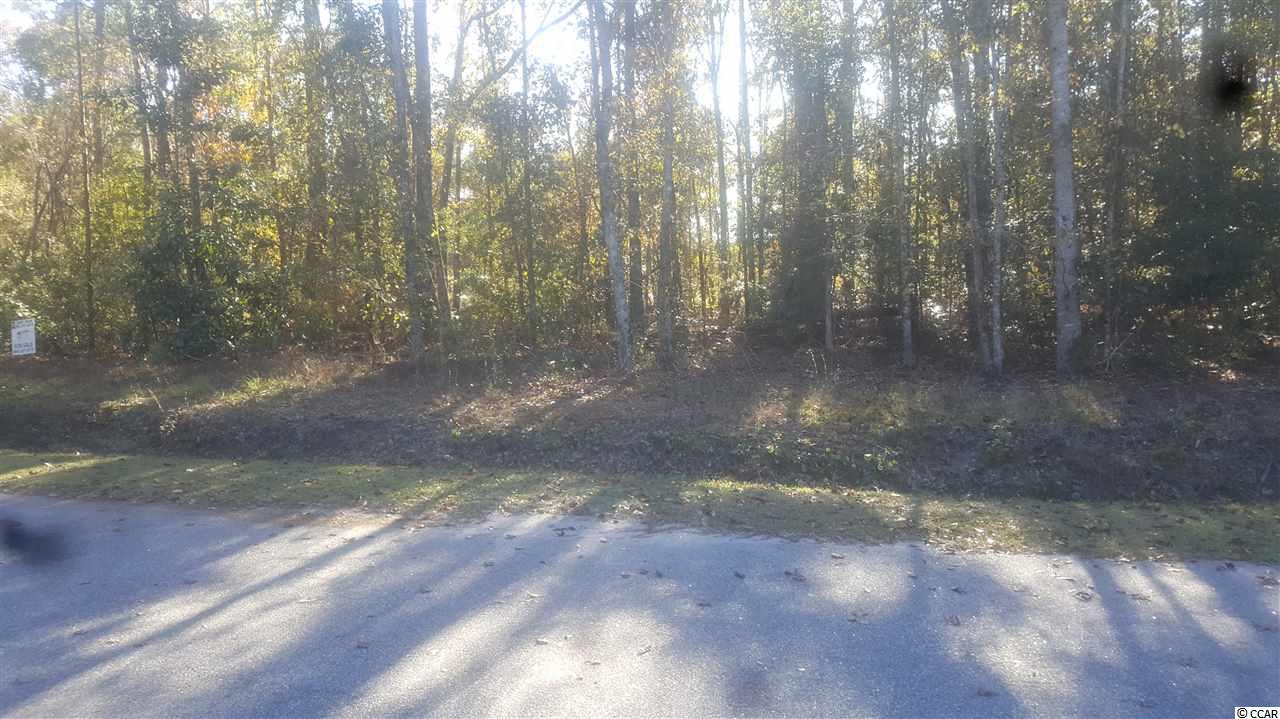 Lot11 Carolina Wren Road Conway, SC 29527 - Photo 1 of 4