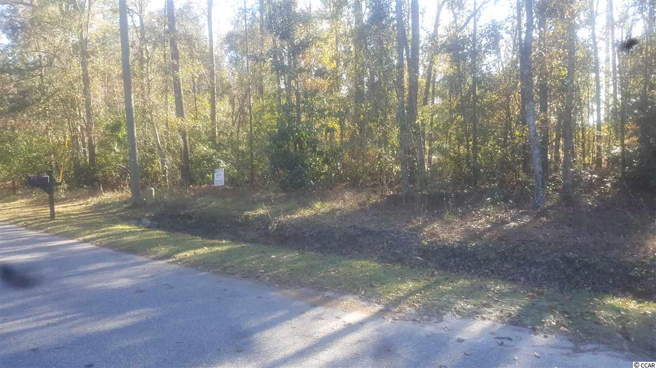 Lot11 Carolina Wren Road Conway, SC 29527 - Photo 3 of 4