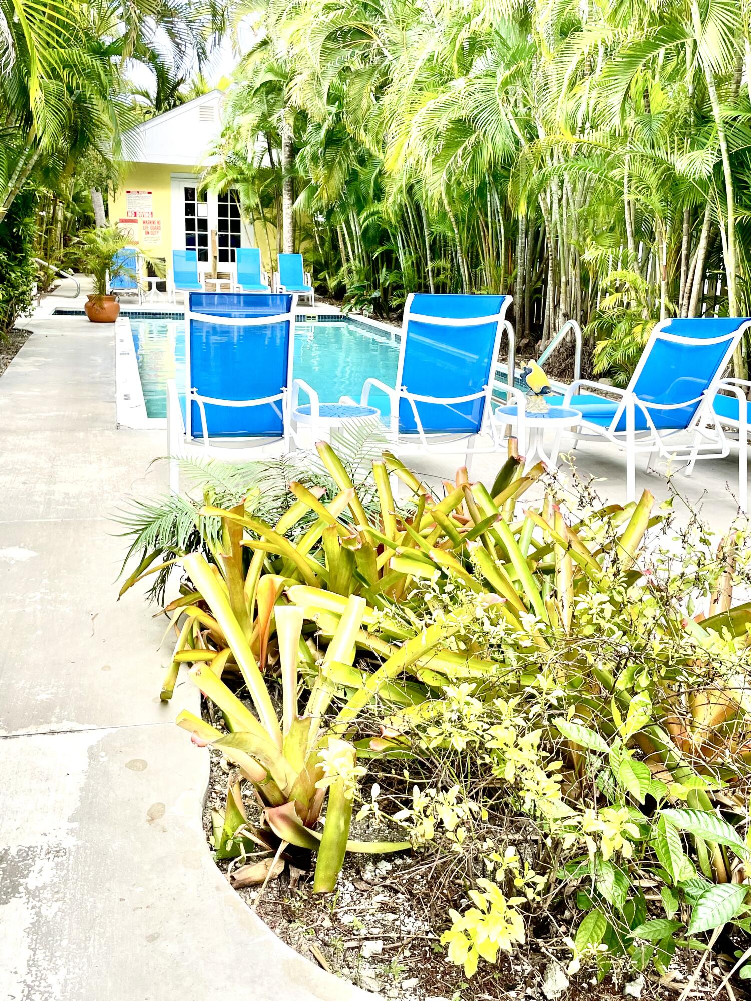 804 South Street, Unit 1 Key West, FL 33040 - Photo 28 of 31 a view of swimming pool with a patio