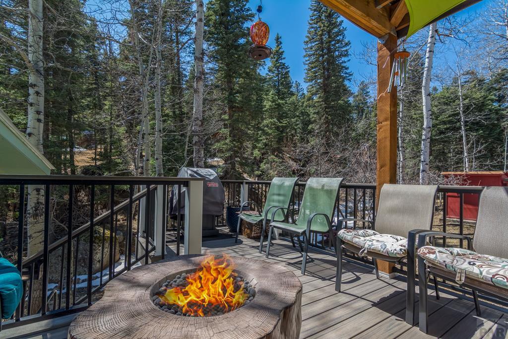 114 County Road 378 Rye, CO 81069 - Photo 19 of 58