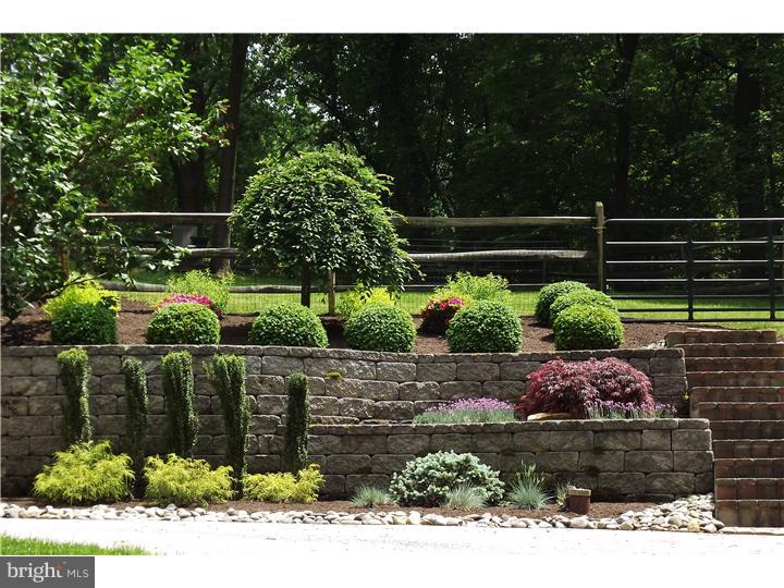 4080 Hollow Road Malvern, PA 19355 - Photo 3 of 22 Back Yard