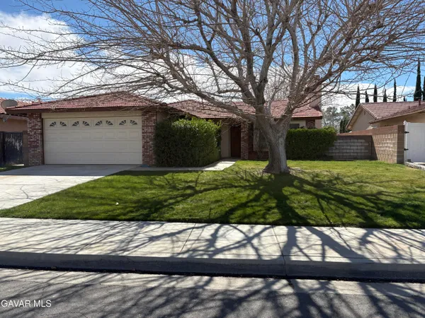 a view of a yard with potted plants and large tree