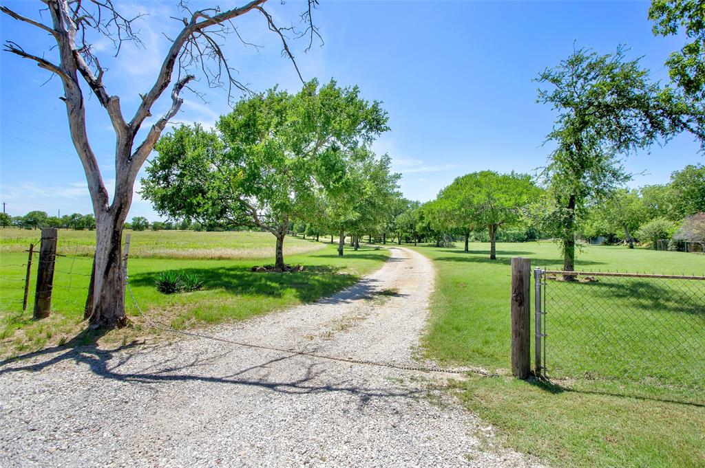 99 Calk Road Tioga, TX 76271 - Photo 7 of 20 a view of a park with large trees