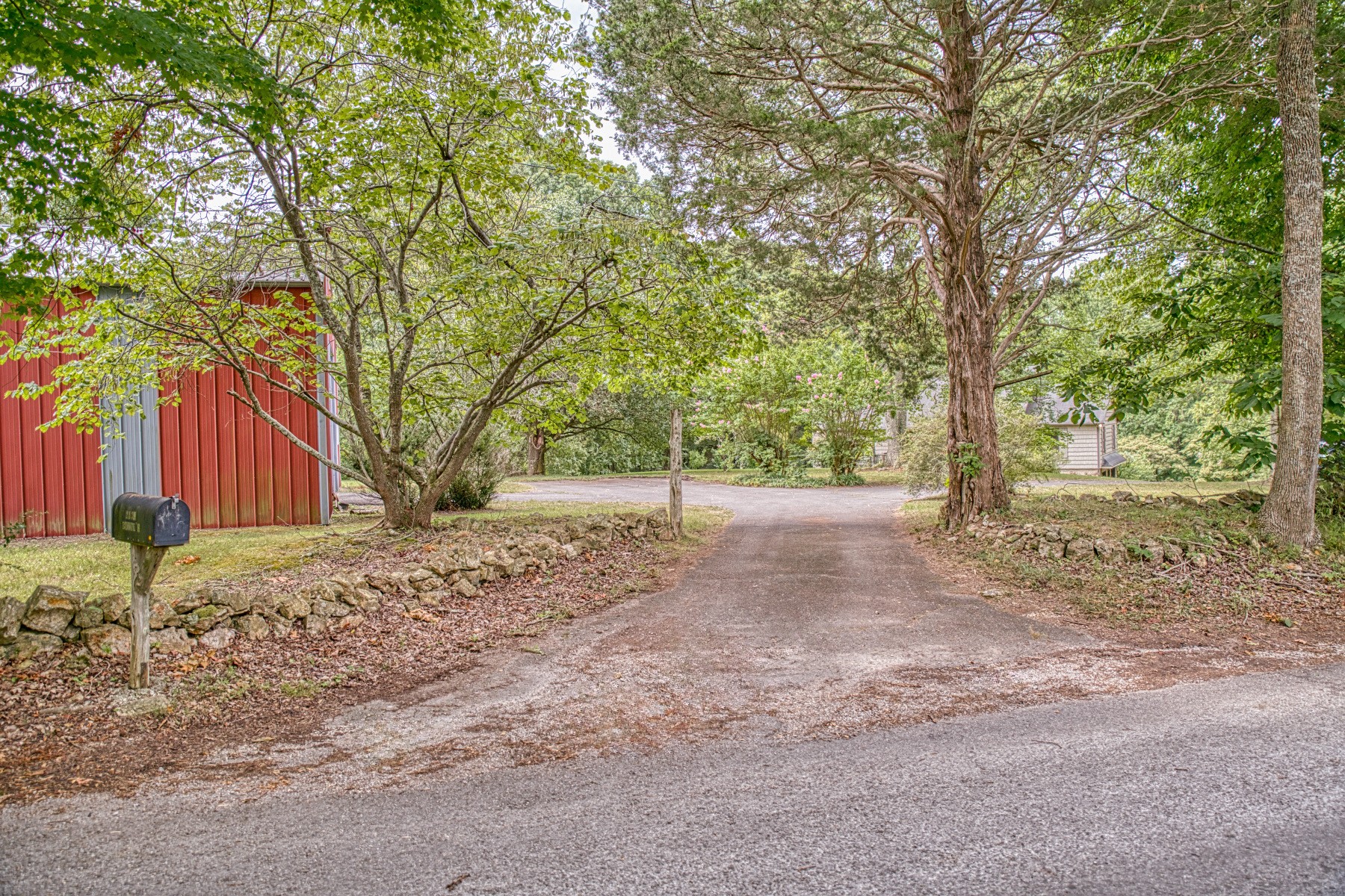 2139 Austin Bottom Road Baxter, TN 38544 - Photo 3 of 64 a view of a backyard with large trees