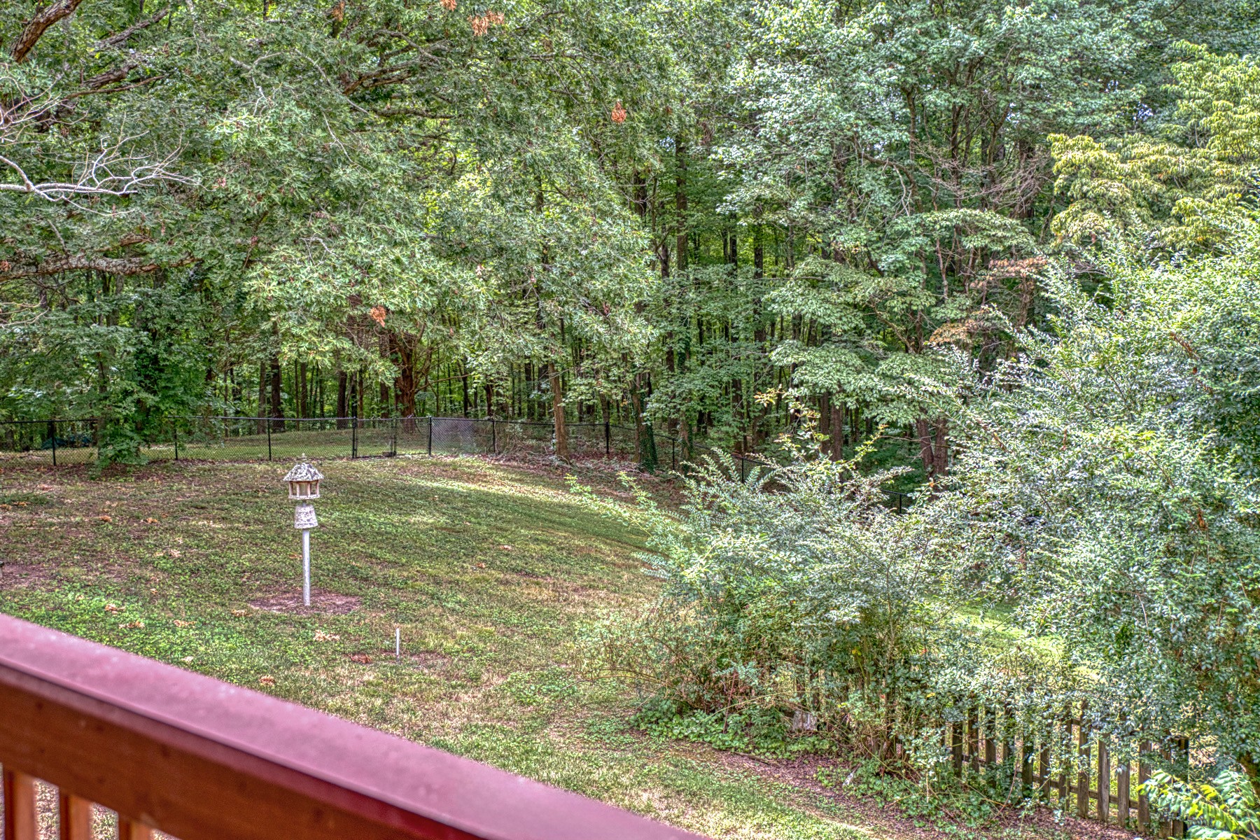 2139 Austin Bottom Road Baxter, TN 38544 - Photo 37 of 64 a view of a yard with a tree