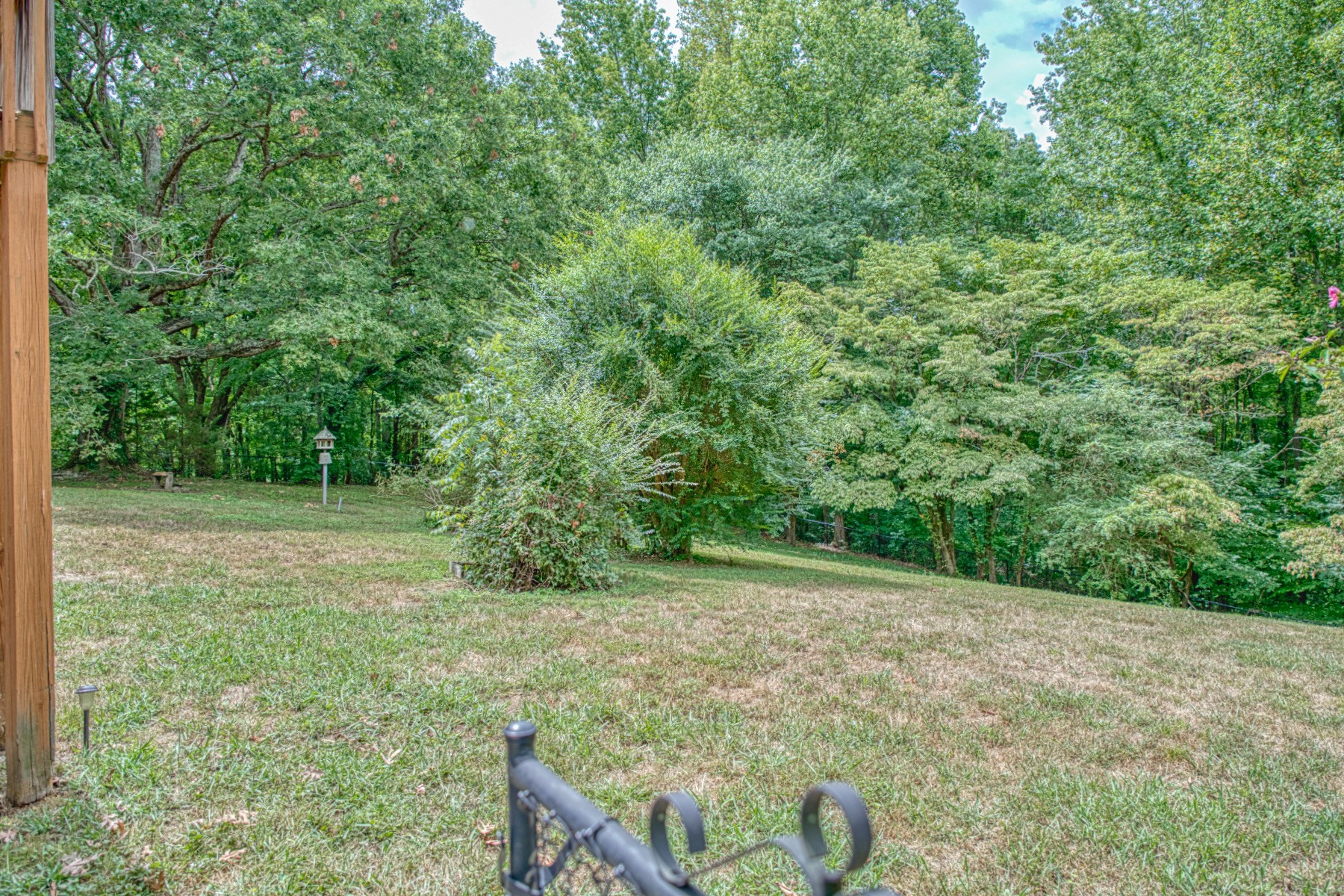 2139 Austin Bottom Road Baxter, TN 38544 - Photo 40 of 64 a view of backyard with green space