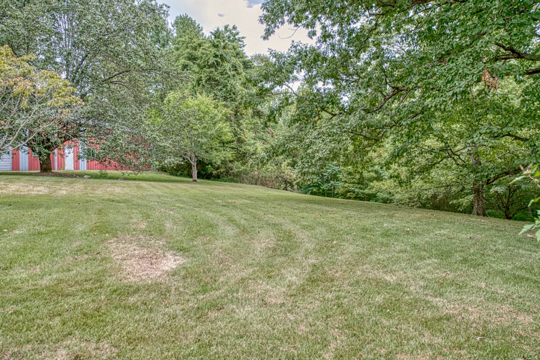 2139 Austin Bottom Road Baxter, TN 38544 - Photo 42 of 64 a view of a field with trees in the background