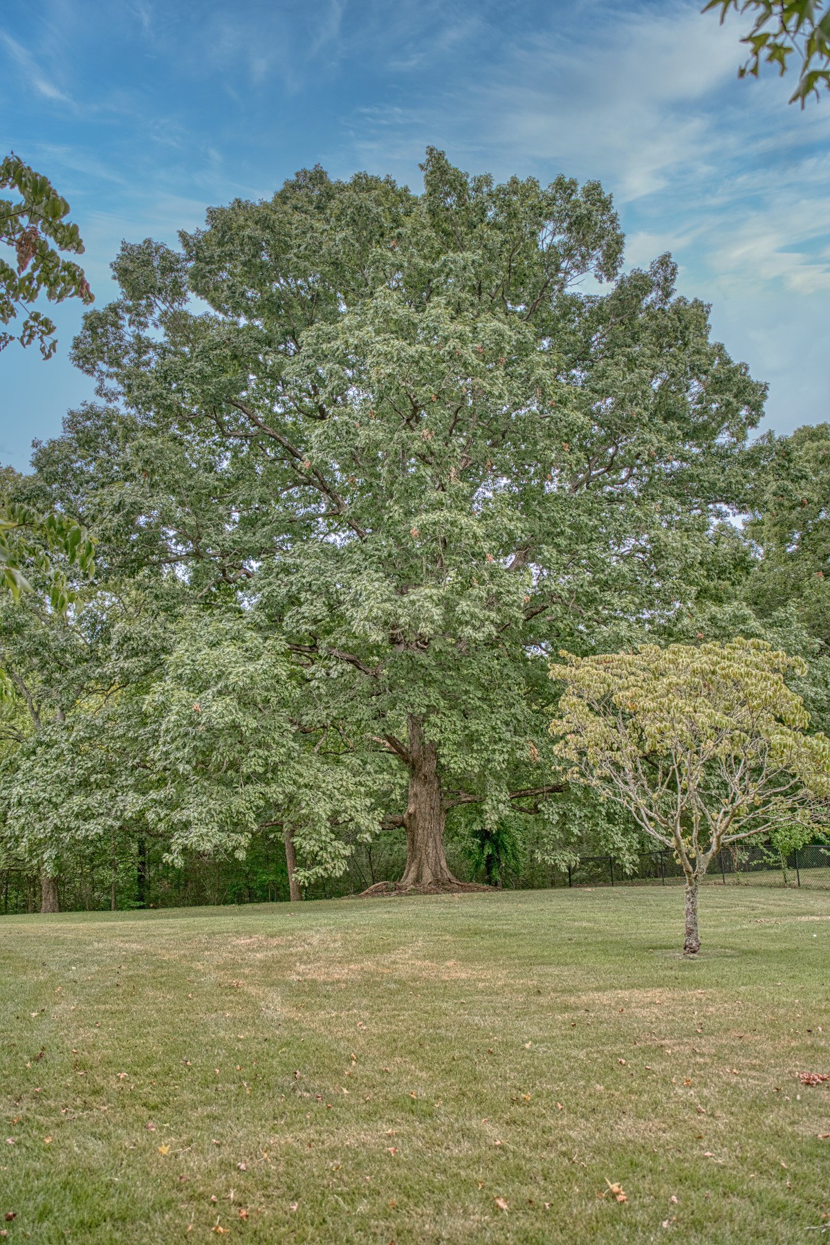 2139 Austin Bottom Road Baxter, TN 38544 - Photo 48 of 64