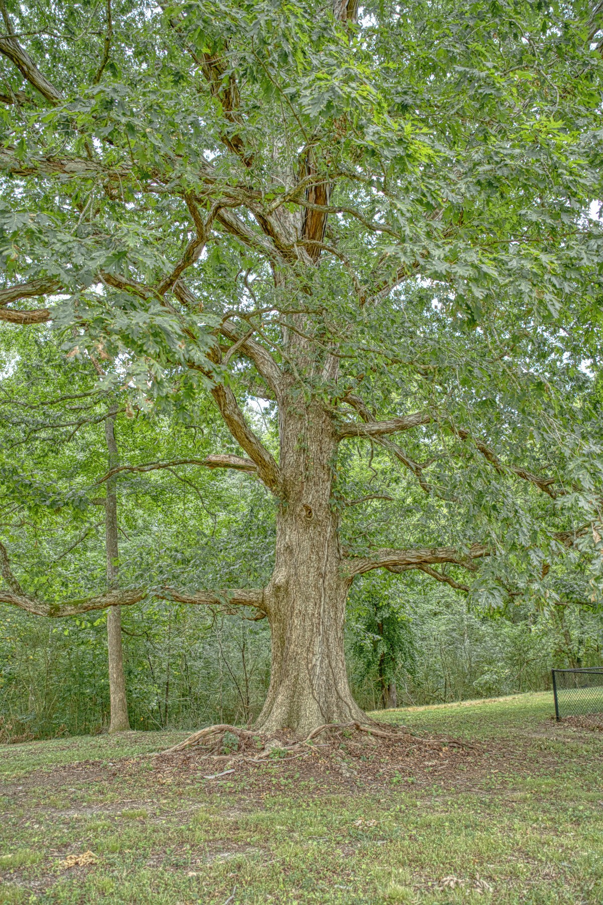 2139 Austin Bottom Road Baxter, TN 38544 - Photo 49 of 64