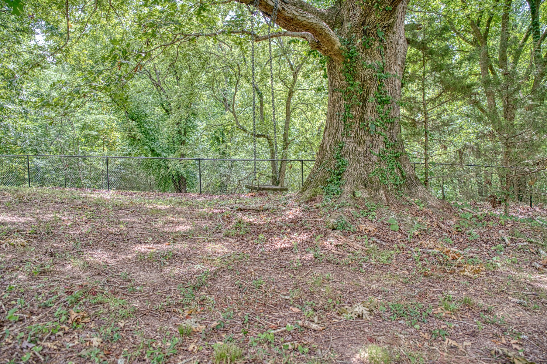 2139 Austin Bottom Road Baxter, TN 38544 - Photo 50 of 64 a view of outdoor space and trees