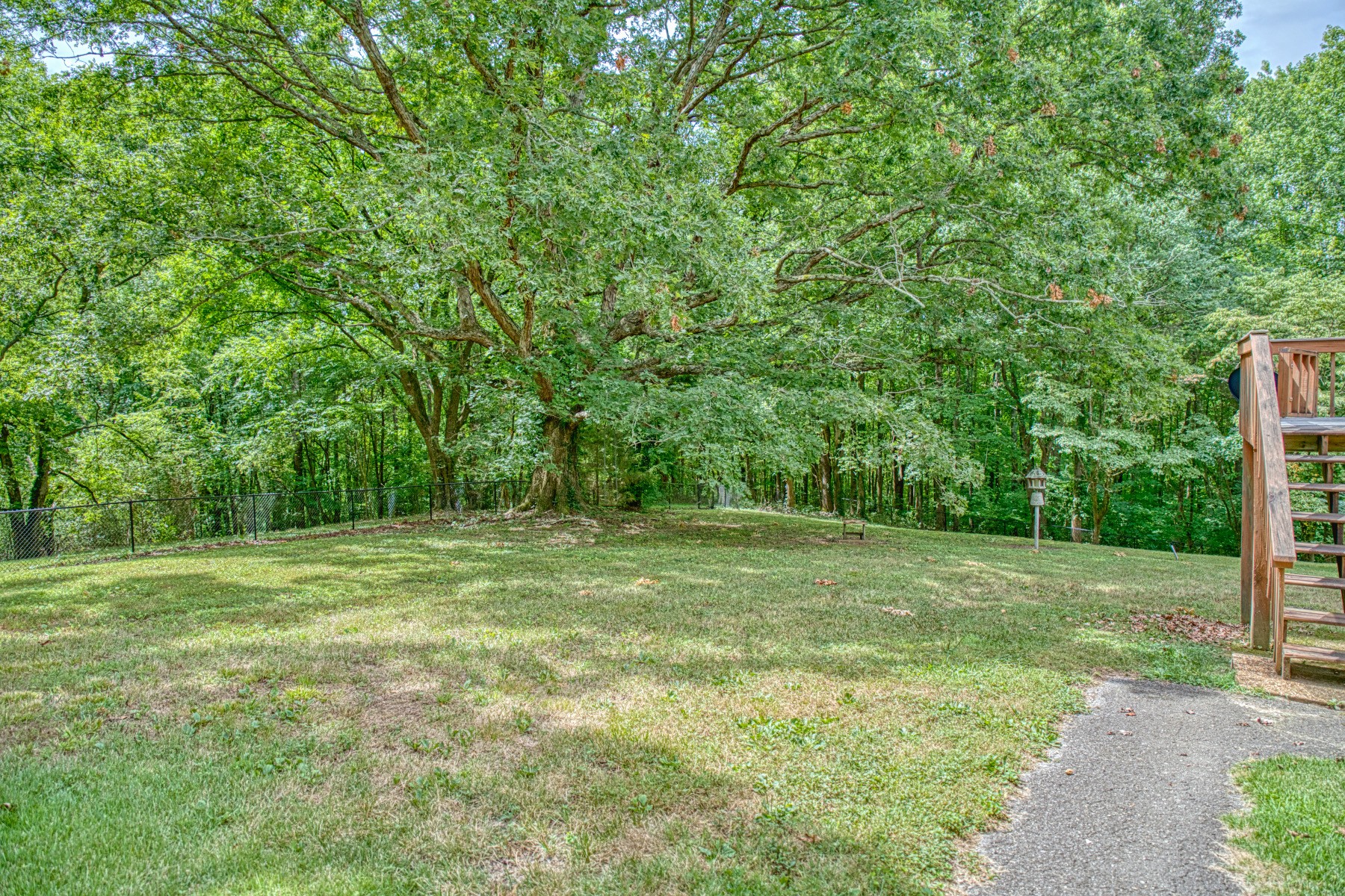 2139 Austin Bottom Road Baxter, TN 38544 - Photo 52 of 64 a view of a field with trees in the background