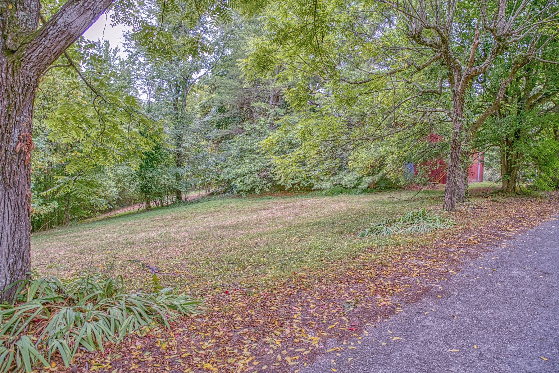 2139 Austin Bottom Road Baxter, TN 38544 - Photo 53 of 64 a view of a yard with a tree