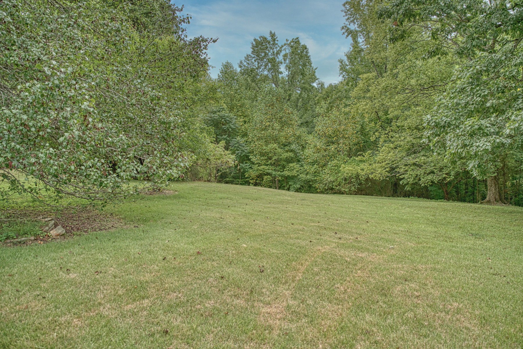 2139 Austin Bottom Road Baxter, TN 38544 - Photo 57 of 64 a view of a field with an trees