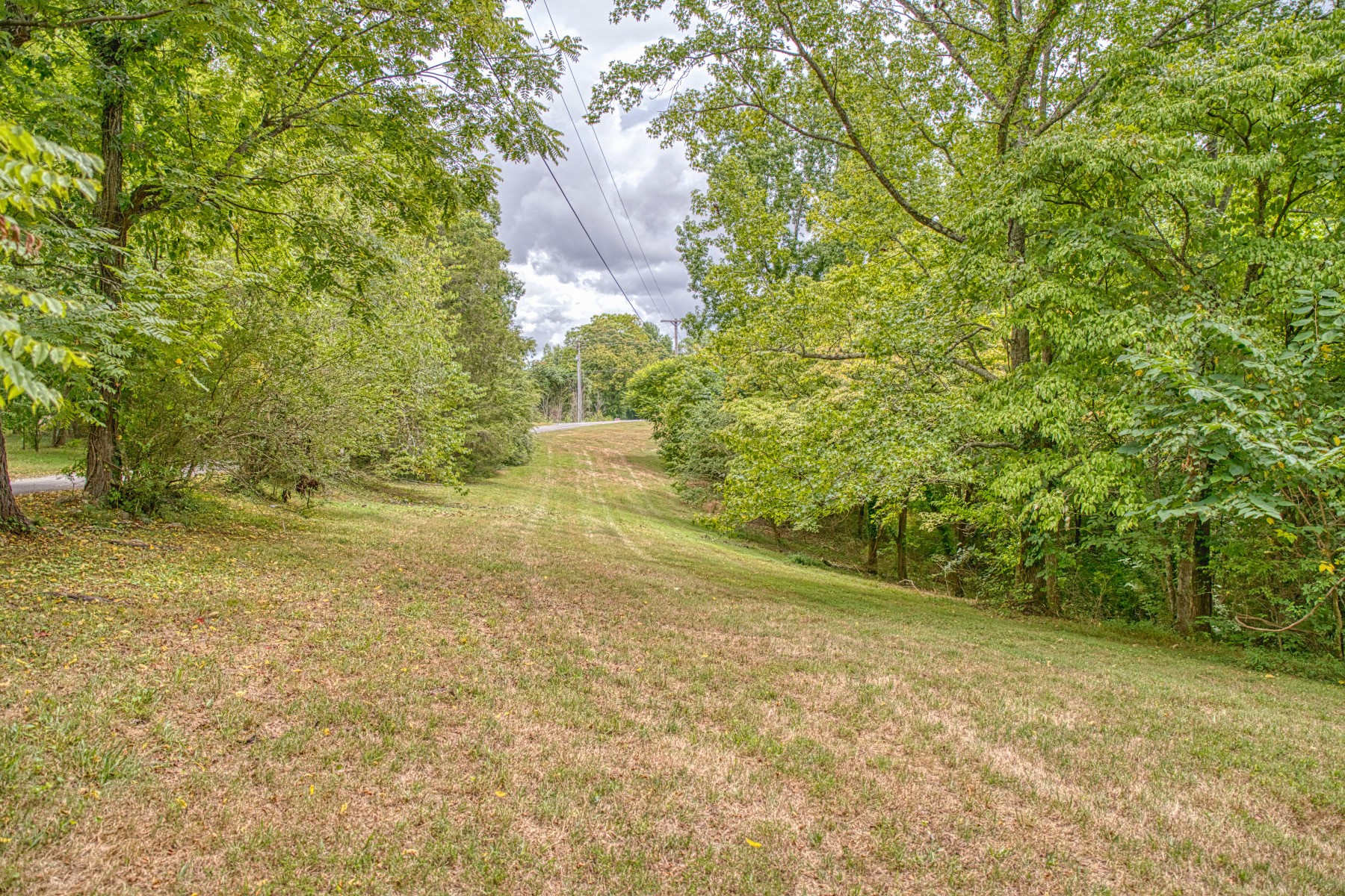 2139 Austin Bottom Road Baxter, TN 38544 - Photo 58 of 64 a view of a yard with trees