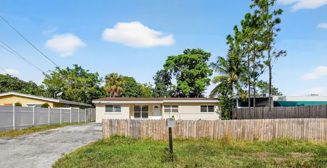 a view of a yard in front of a house with plants and large tree