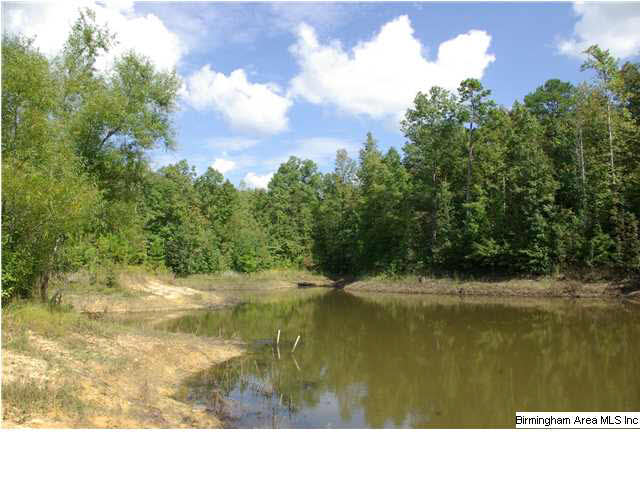 Turkey Ridge, Unit 11 Ragland, AL 35131 - Photo 2 of 31