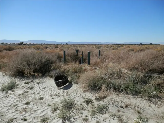 a view of a dry yard with trees