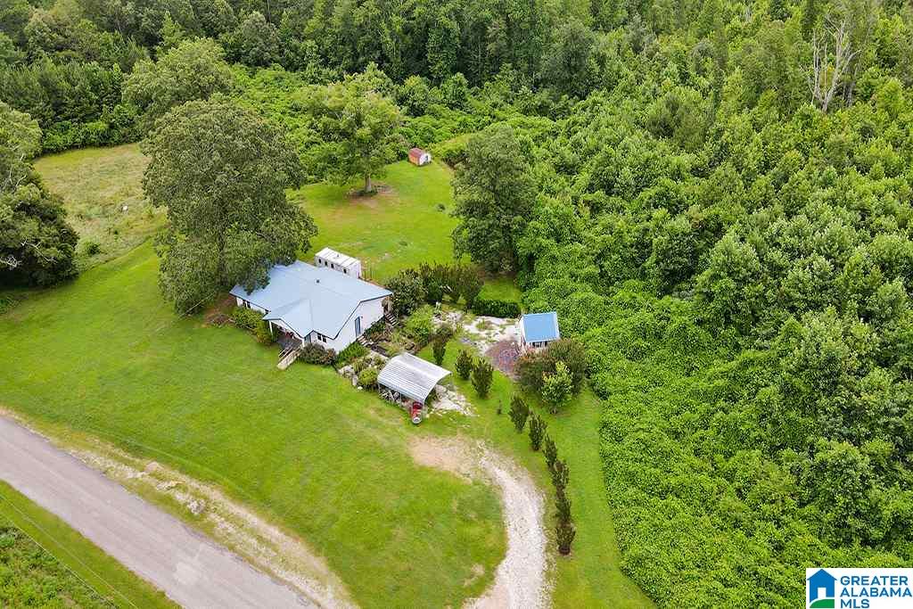 3464 County Road 29 Heflin, AL 36264 - Photo 29 of 34