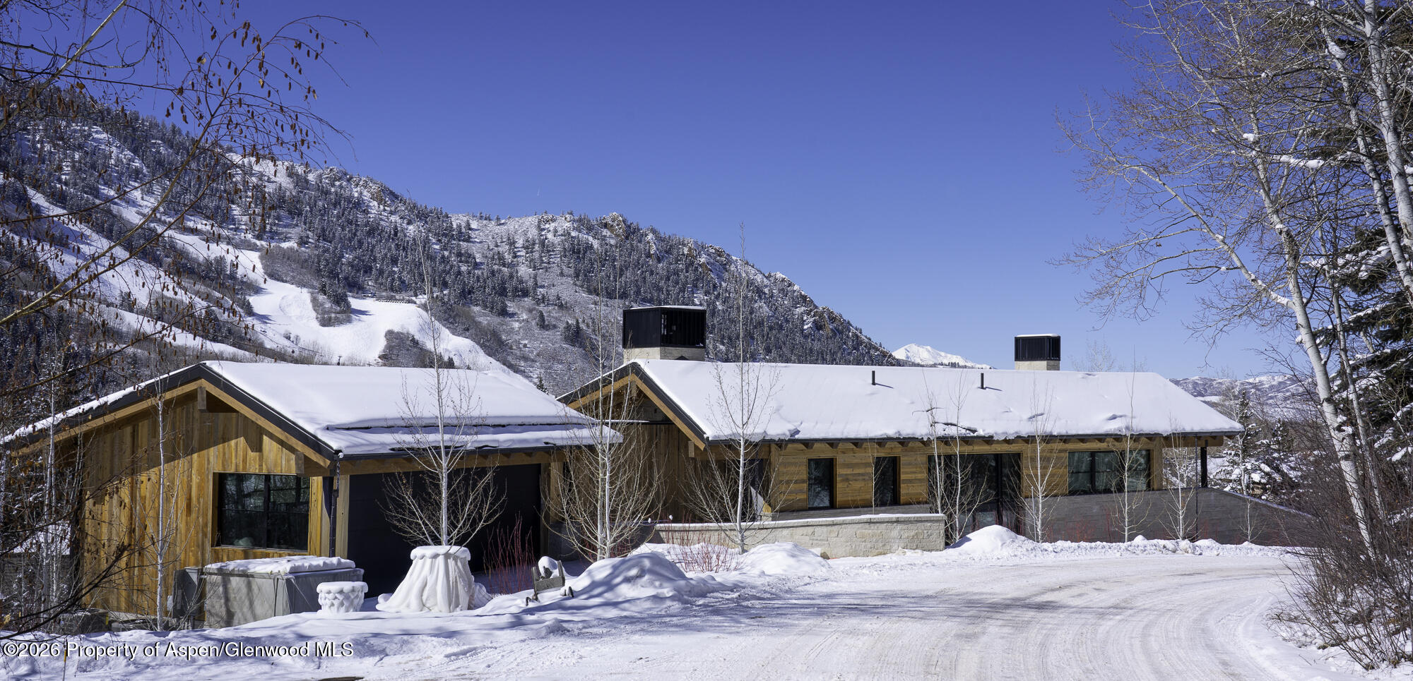 96 McSkimming Road Aspen, CO 81611 - Photo 8 of 16