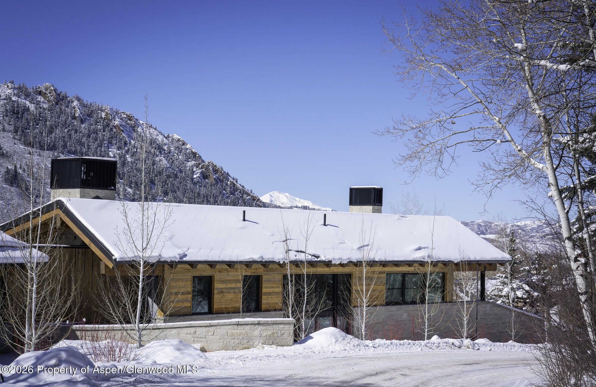 96 McSkimming Road Aspen, CO 81611 - Photo 9 of 16