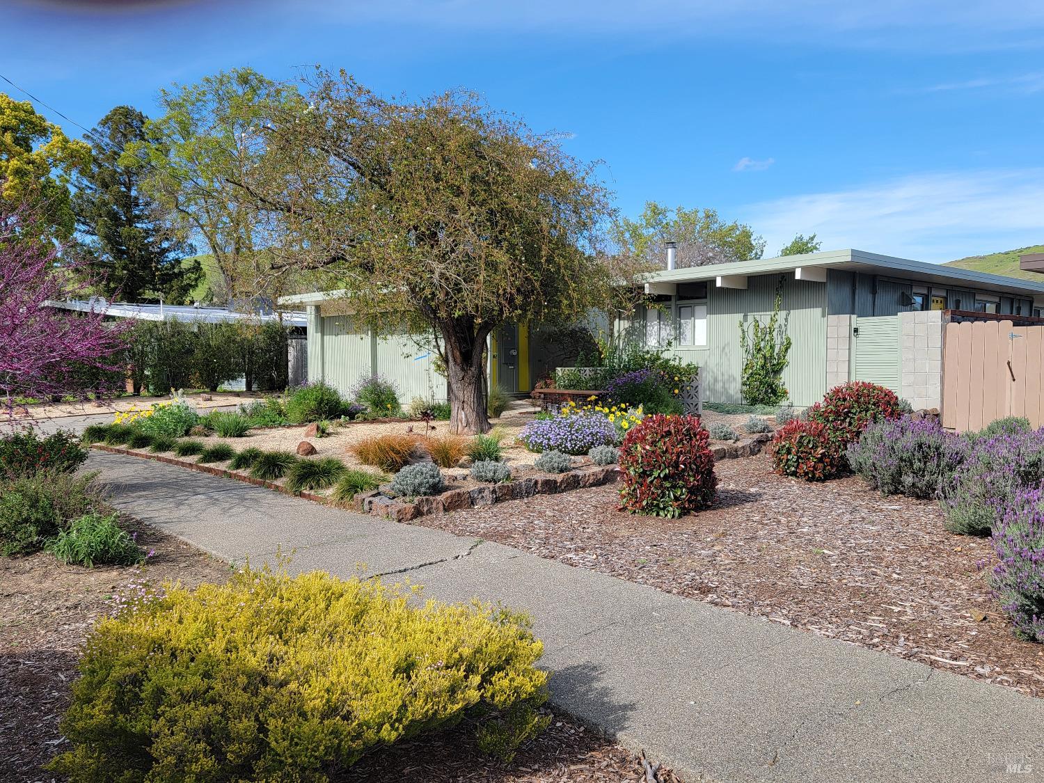 Terra Linda Primavera !