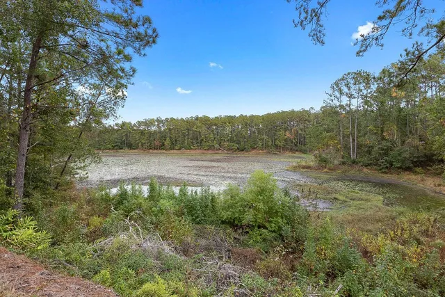 $385,000 | 84 Lakeside Road, Monticello, FL 32344