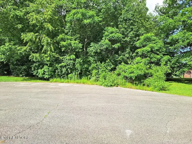 a view of a road with a yard