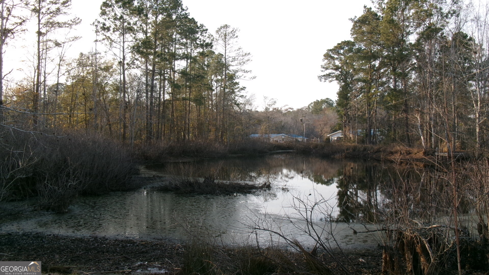 17827 Highway 129 Claxton, GA 30417 - Photo 4 of 21 a view of lake