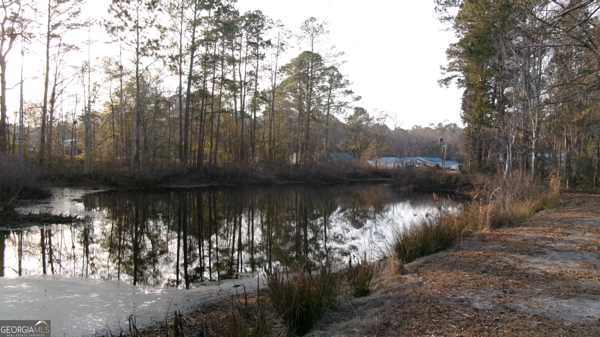 17827 Highway 129 Claxton, GA 30417 - Photo 6 of 21 a view of a lake view