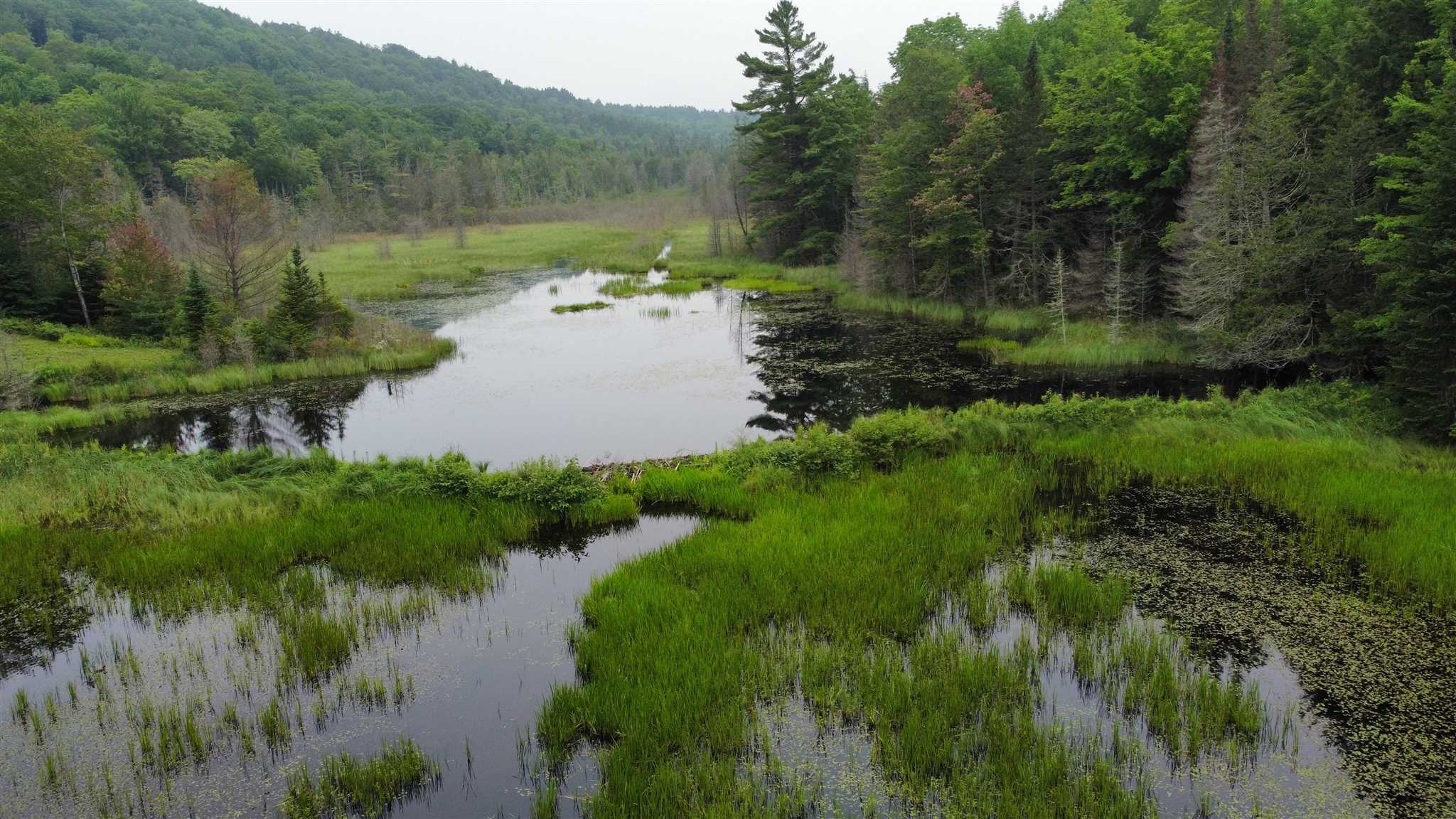 7437 Scotch Hollow Road Newbury, VT 05069 - Photo 10 of 40
