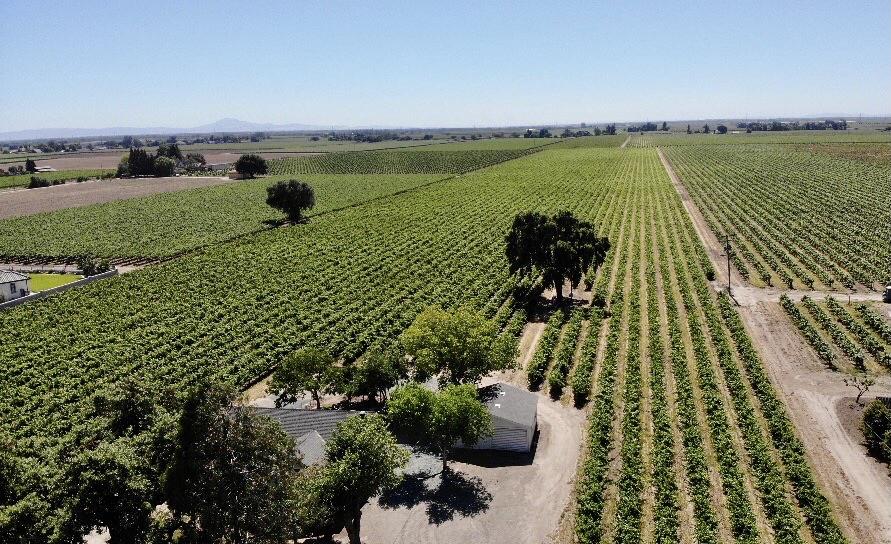 19025 Devries Road Lodi, CA 95242 - Photo 40 of 41
