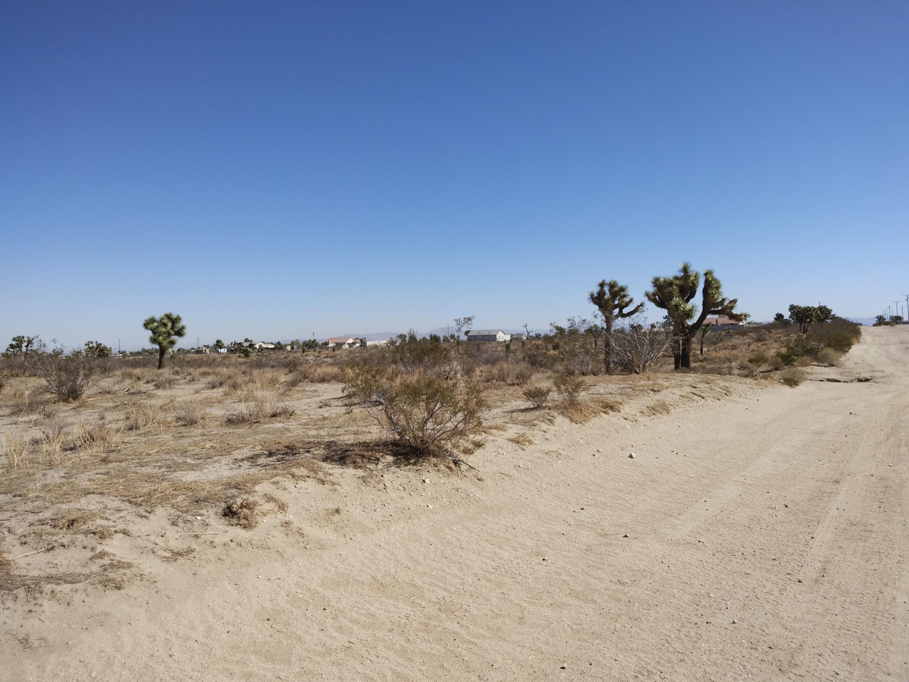 IMG_20211019_110137786
