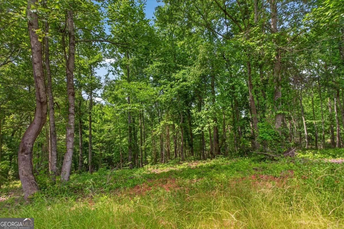 0 Conns Creek Road, Unit 2 Ball Ground, GA 30107 - Photo 29 of 57