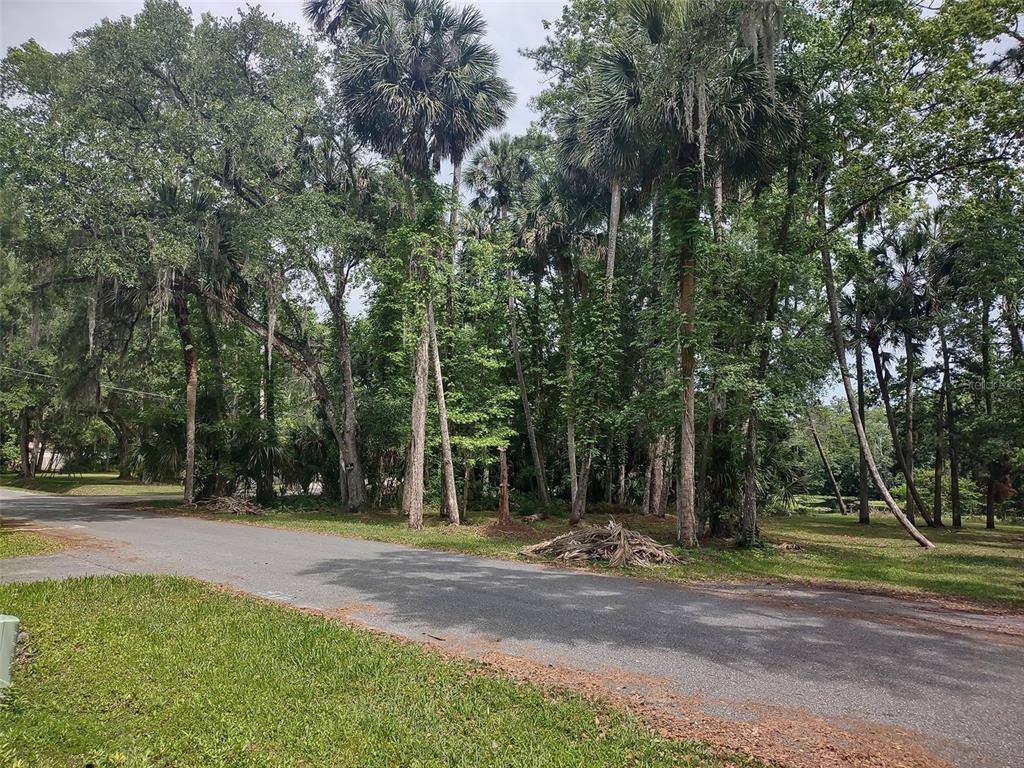 56508 Blue Creek Road Astor, FL 32102 - Photo 49 of 59